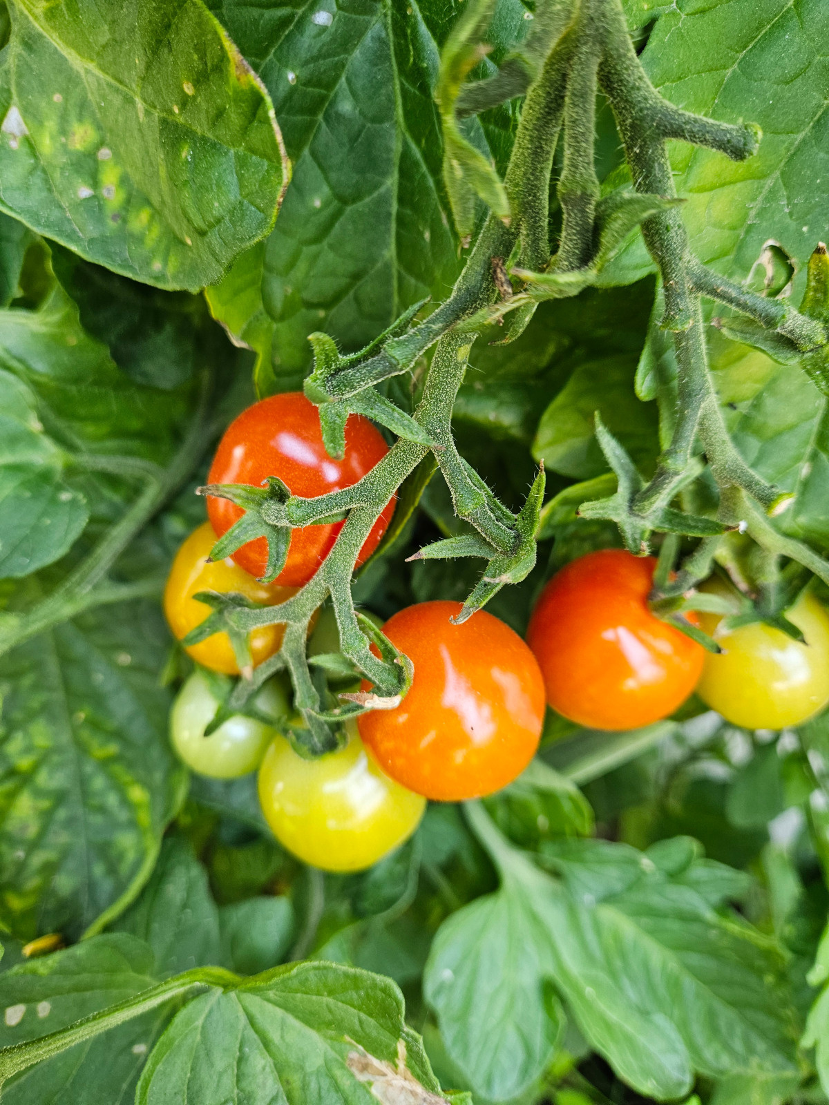 AgricultureJardiner-bandeau