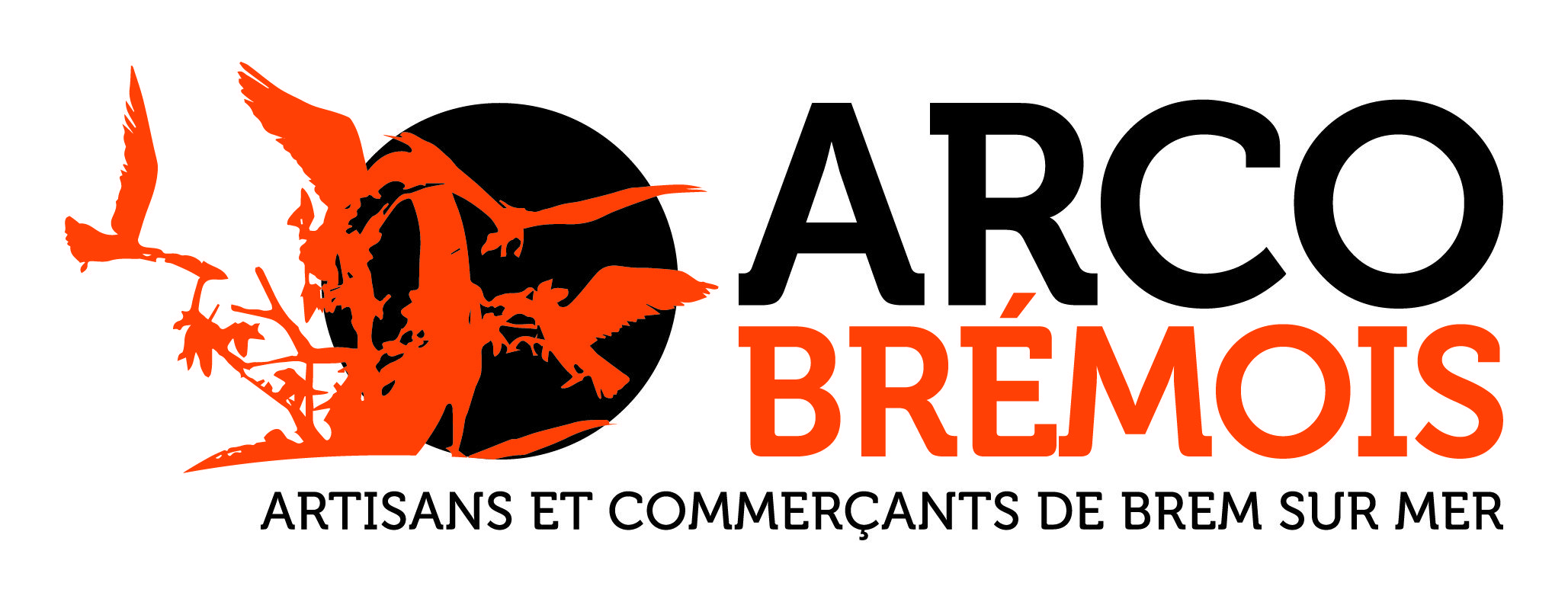 ARCO-BREMOIS-logo