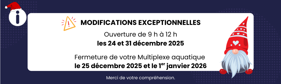 Fermeture Noel 2025