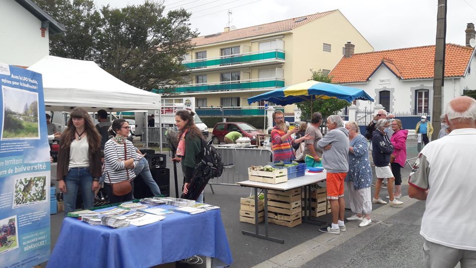 Les Paniers de Vie et Jaunay