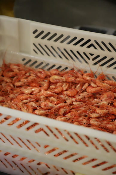 Apérose 2025 (3).JPG